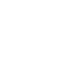 partner 911 restoration logo