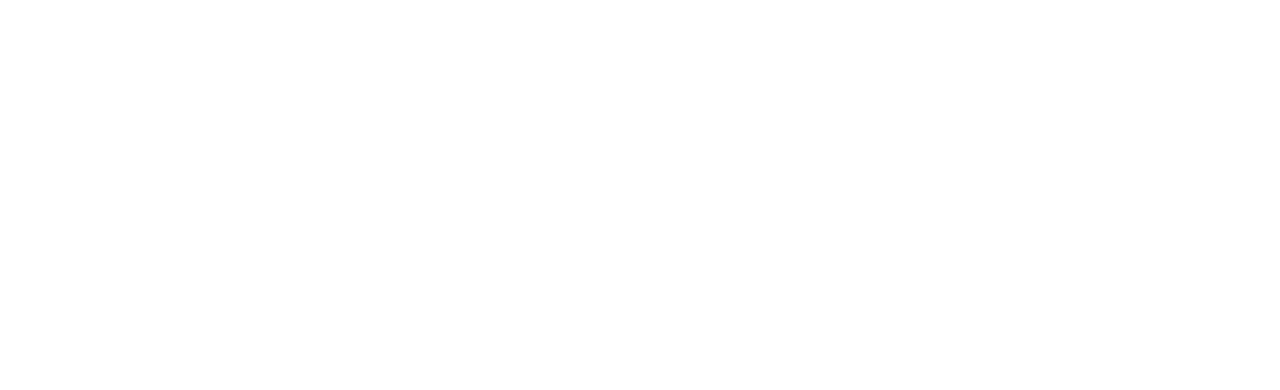 partner belfor logo